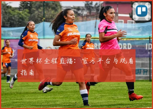 世界杯全程直播：官方平台与观看指南