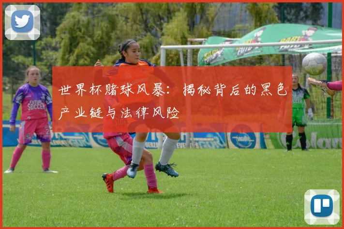 世界杯赌球风暴:揭秘背后的黑色产业链与法律风险