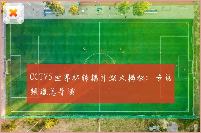 CCTV5世界杯转播计划大揭秘：专访频道总导演