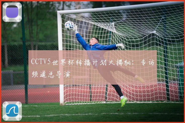CCTV5世界杯转播计划大揭秘：专访频道总导演