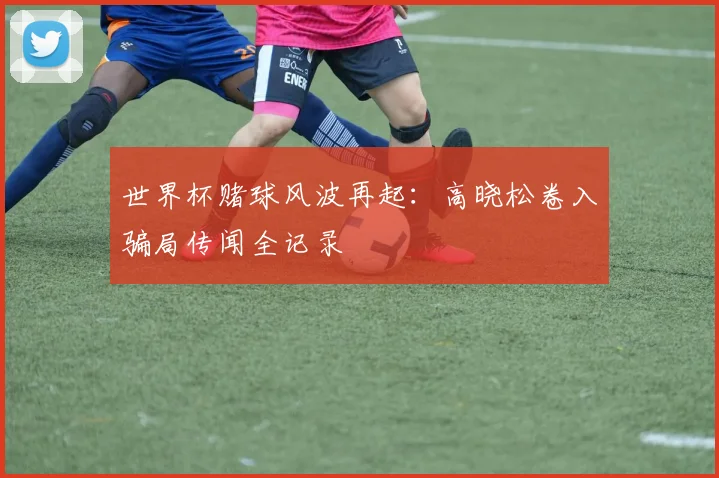 世界杯赌球风波再起:高晓松卷入骗局传闻全记录
