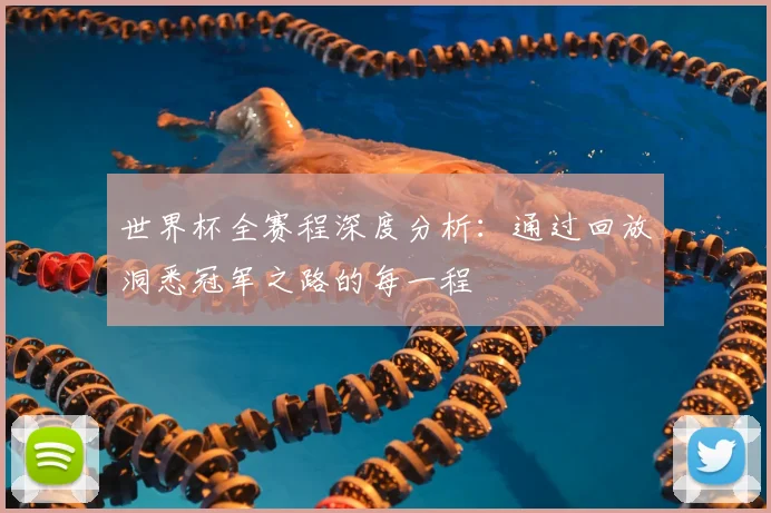 世界杯全赛程深度分析：通过回放洞悉冠军之路的每一程