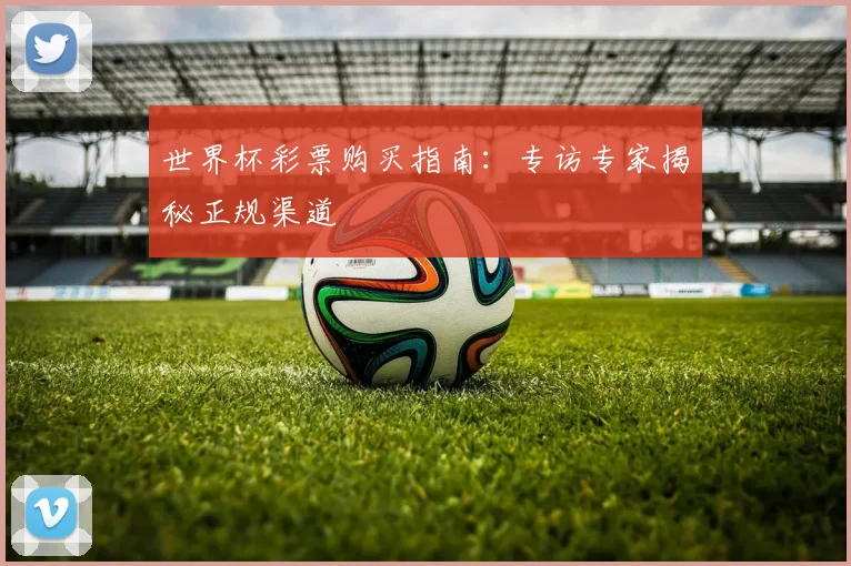 世界杯彩票购买指南:专访专家揭秘正规渠道